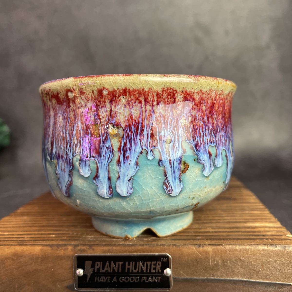 B422 Mサイズ 植木鉢 陶器 検（invisible ink raw life factory SRL