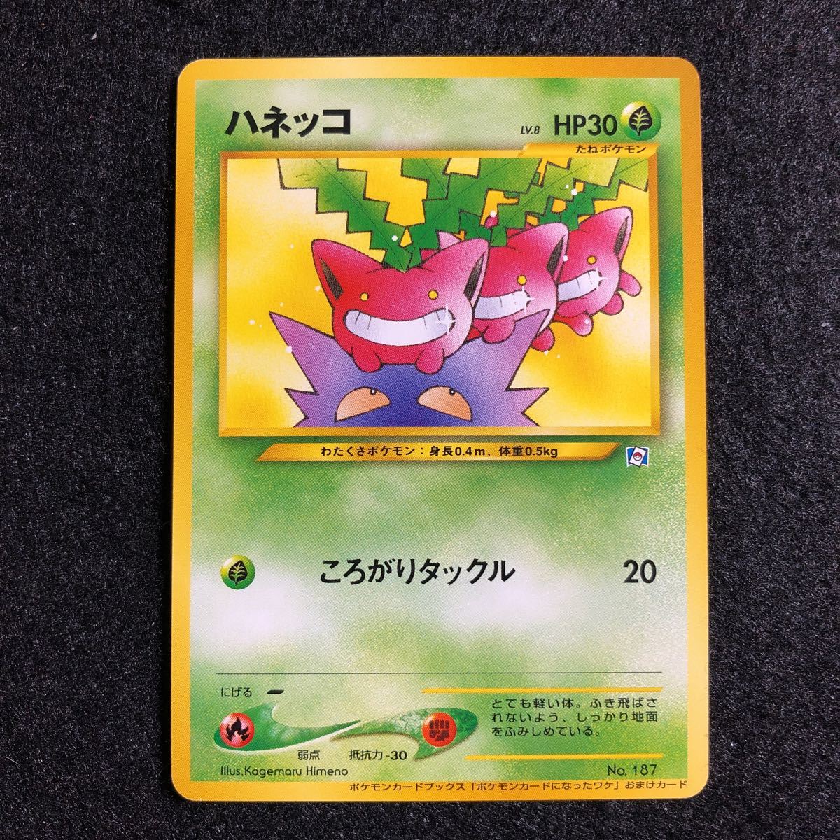 ハネッコ_「ポケモンカードになったワケ 5巻」 おまけカード PROMO 旧裏 ポケモンカード ハネッコ 旧裏面 ポケモンカードになったワケ VOL.5