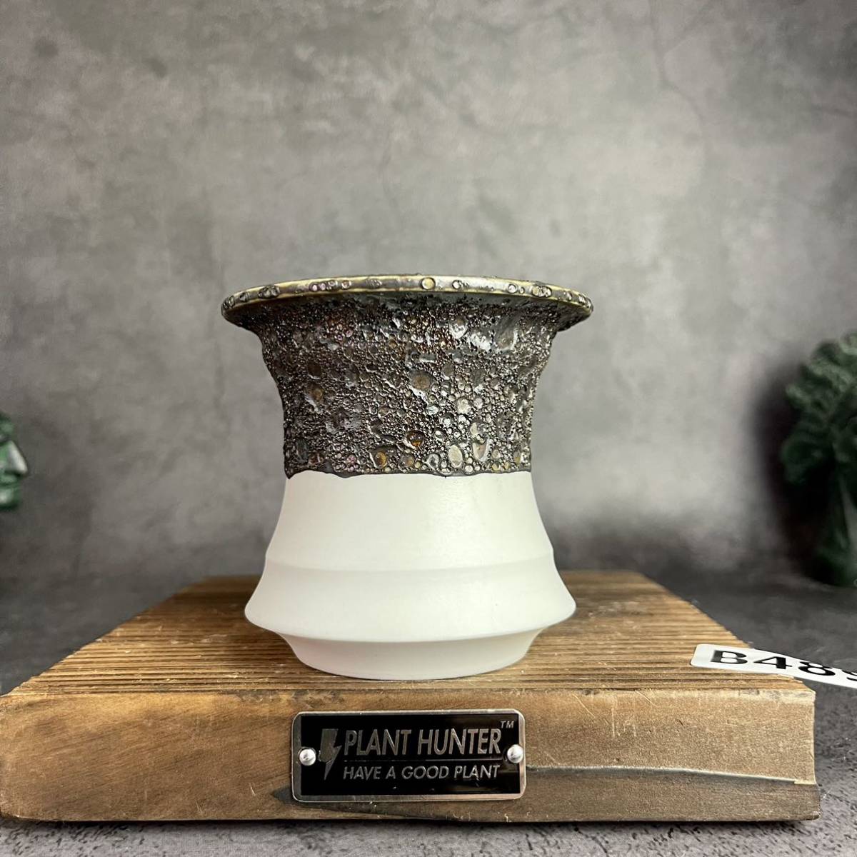 B594 Mサイズ 植木鉢 陶器 検（invisible ink raw life factory SRL