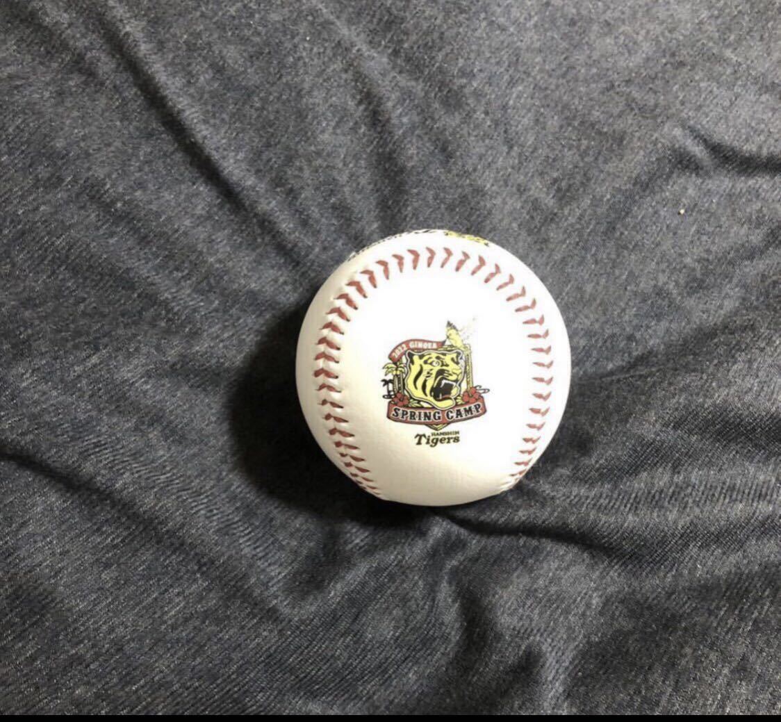 阪神タイガース 近本 選手 直筆サインボール 2022キャンプ球 阪神