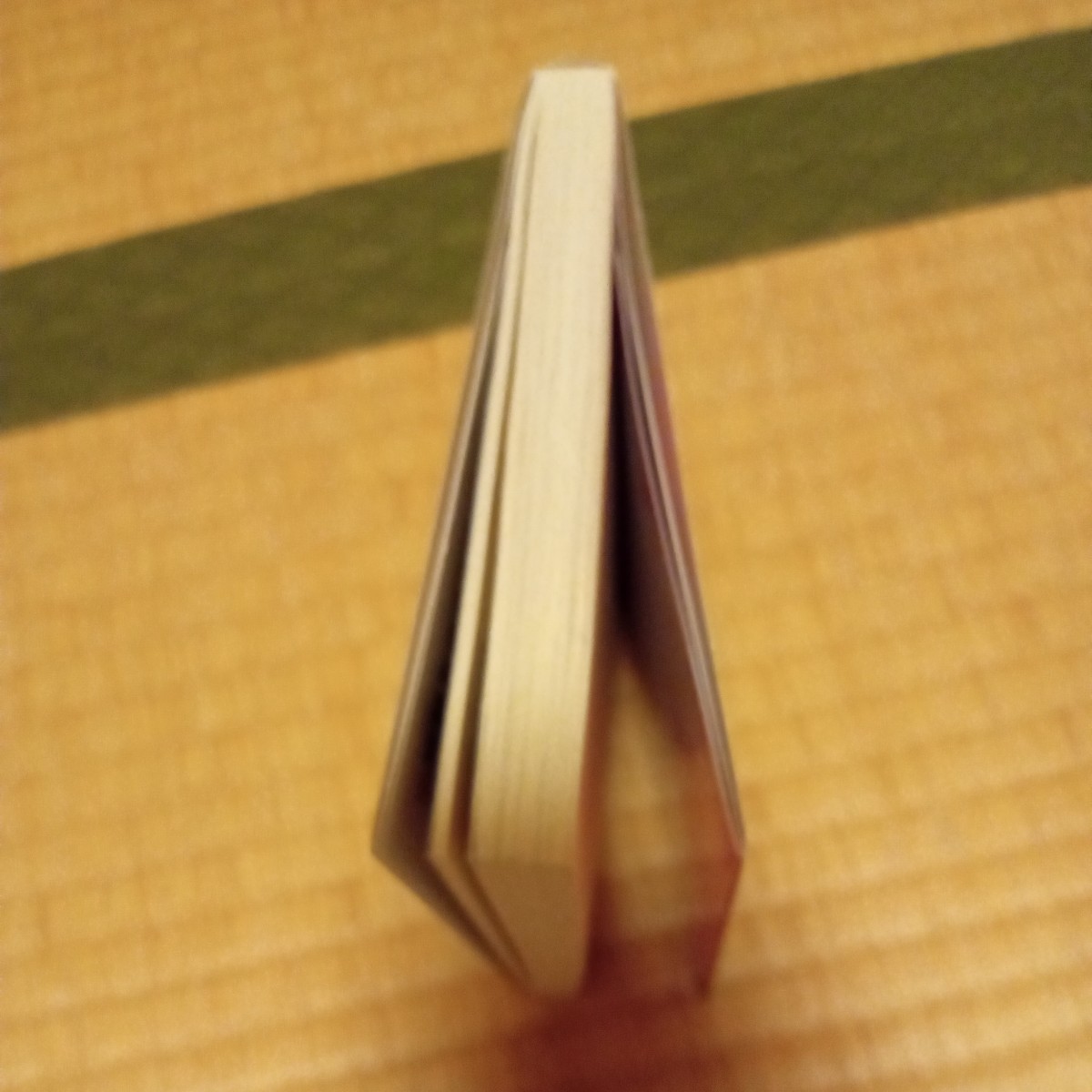 謎の彼女X 謎の小説版 著:佐藤ちはや 原作・イラスト:植芝理一 講談社 