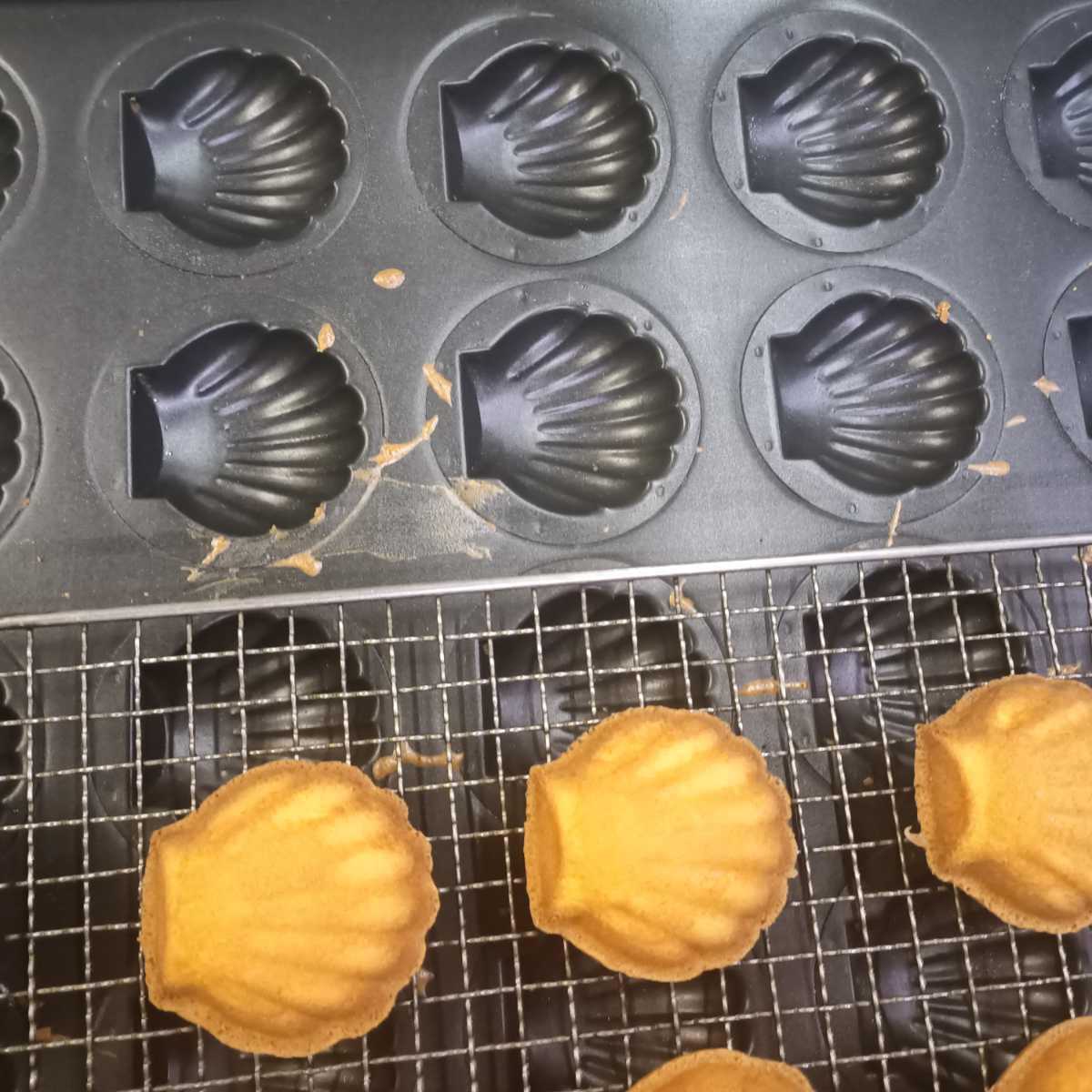 マドレーヌ型　20連　2枚セット　シリコン＋テフロン　千代田