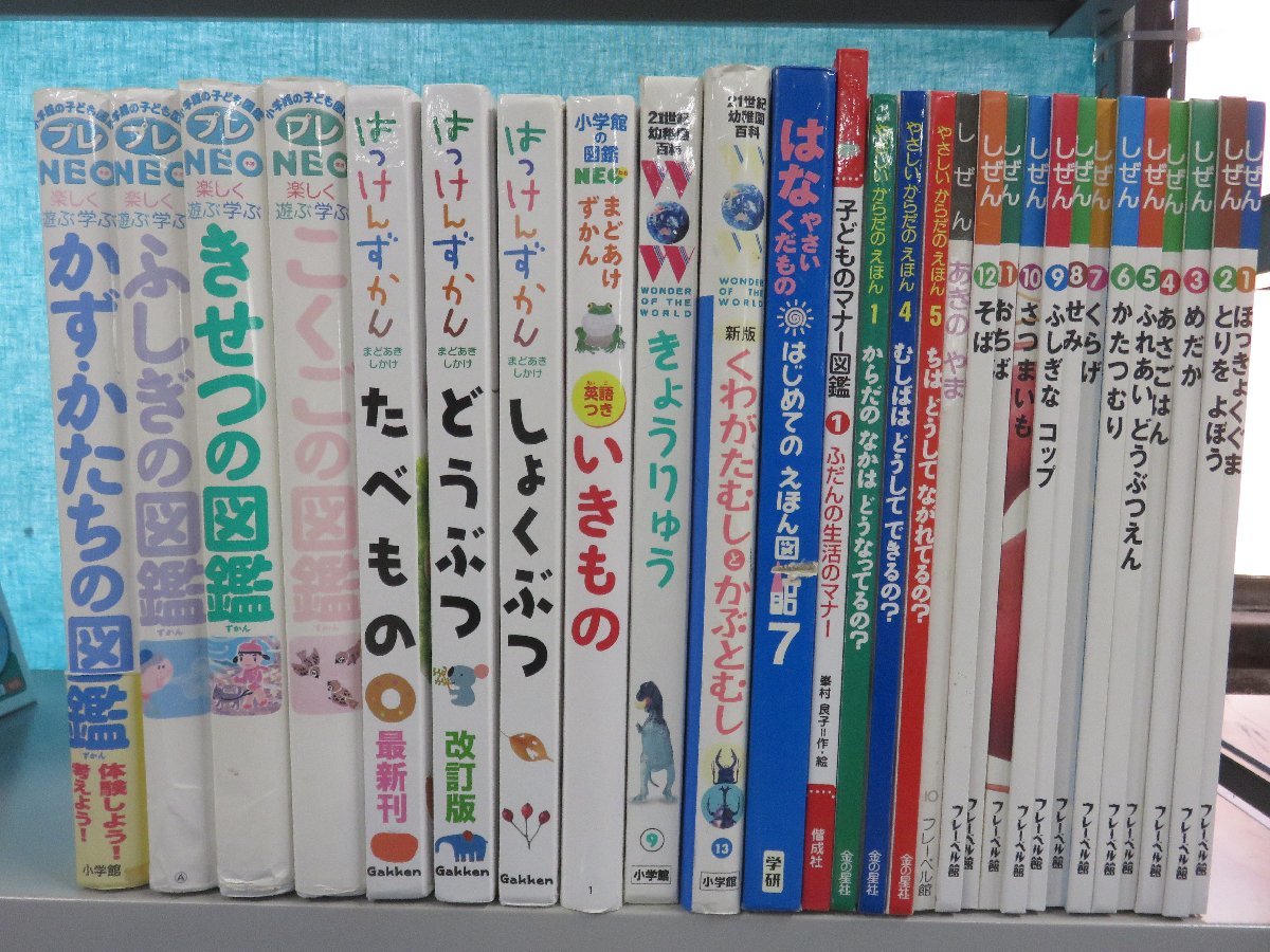 【図鑑】《まとめて28点セット》小学館の図鑑プレNEO/はっけんずかん/まどあけずかん/キンダーブックしぜん/かず・かたち/ふしぎ 他