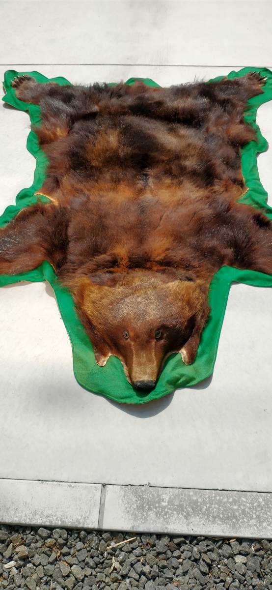 ヒグマ 熊 剥製 壁掛け 毛皮 ラグ リアルファー 北海道(家具  
