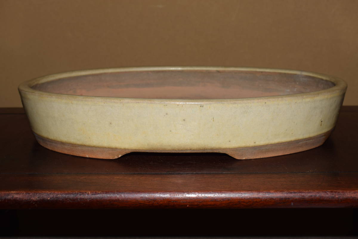 中国古盆器＜清代・白交趾・・時代乗り満点・・（落款、茂）発色抜群