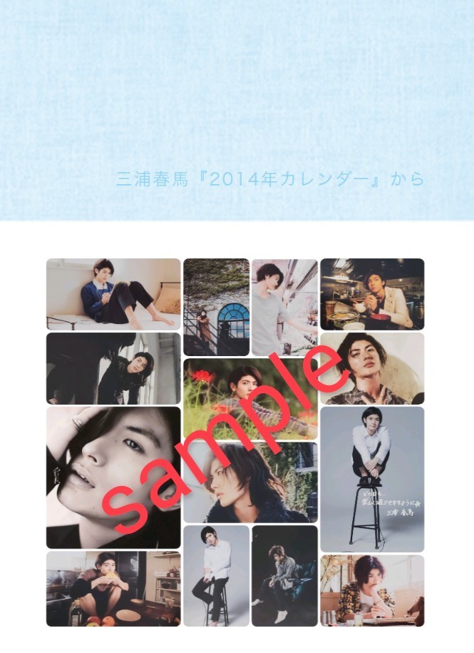 三浦春馬 2014年カレンダー からのフォトブックの入札履歴 - 入札者の順位