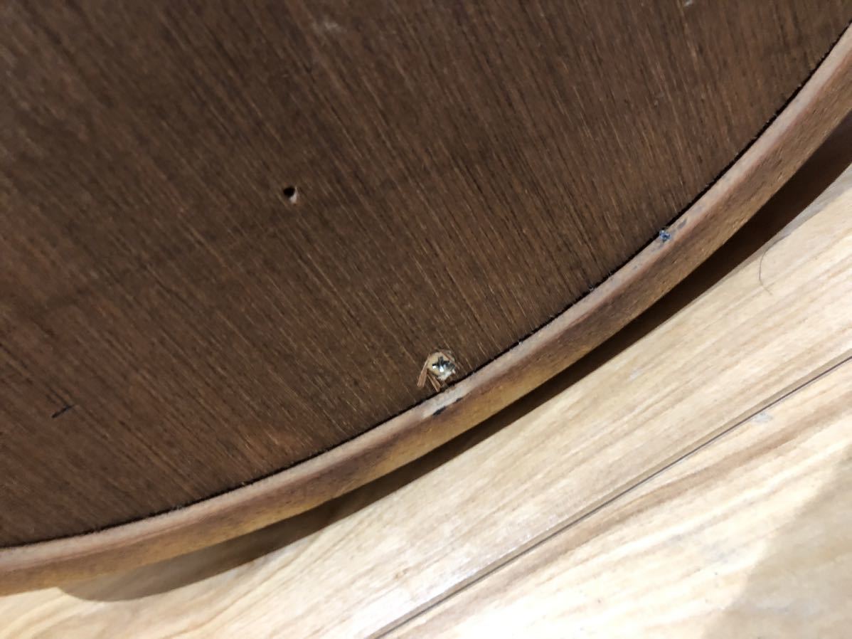 秋田木工 ウォールミラー 壁掛け鏡 鏡 楕円形 ミラー AKITA