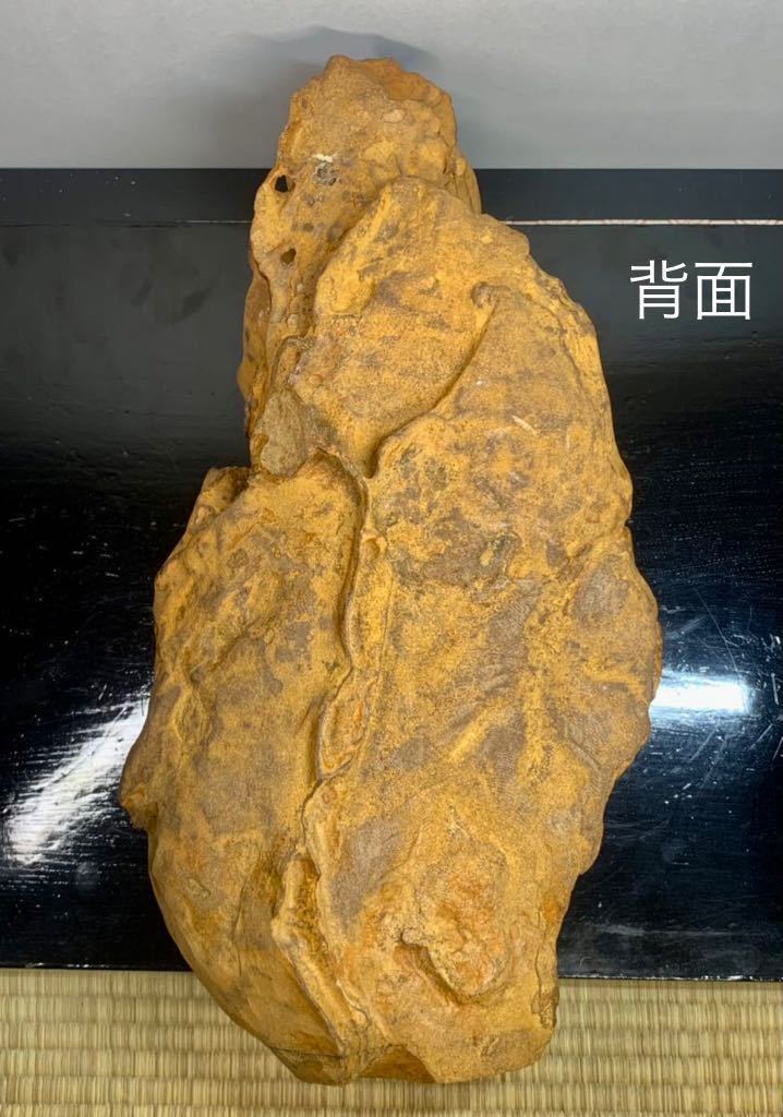 水石文化の再興スペシャル』 水石 泉州壺石 横21×高42×奥行