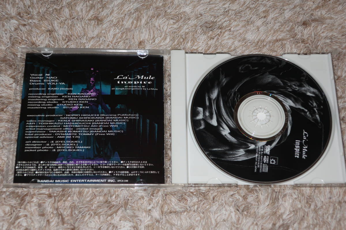 Red Carpet CD V系　ヴィジュアル系　La'Mule ラムール　廃盤 希少 La'Mule 初回限定盤 Curse 帯付き ラムール V系 - メルカリ