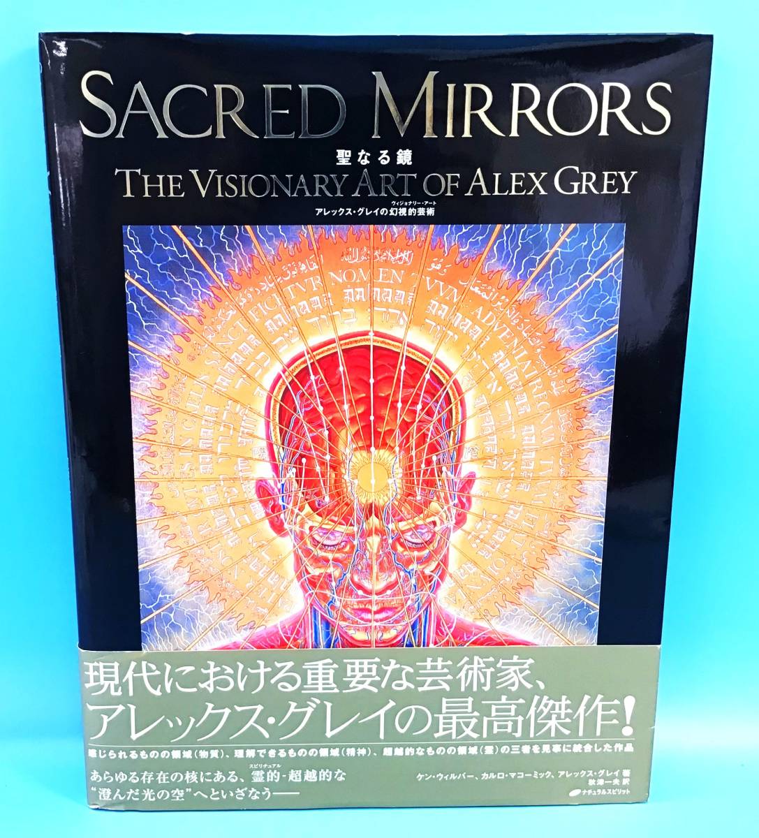 聖なる鏡 アレックス・グレイの幻視的芸術（ケン・ウィルバー