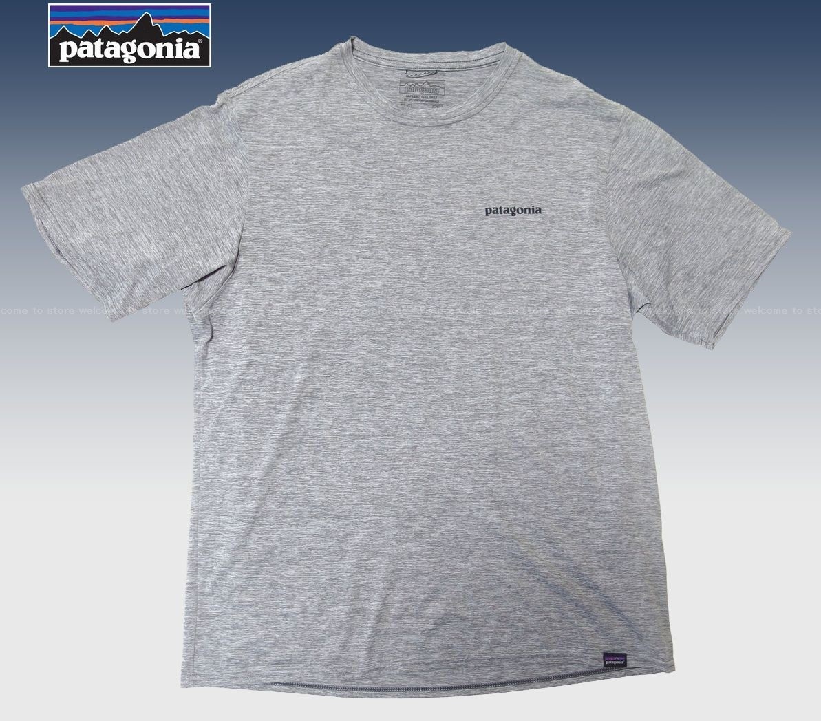 ■ patagonia (パタゴニア) キャプリーン・クール・デイリー・グラフィック 半袖Tシャツ (M) ■　