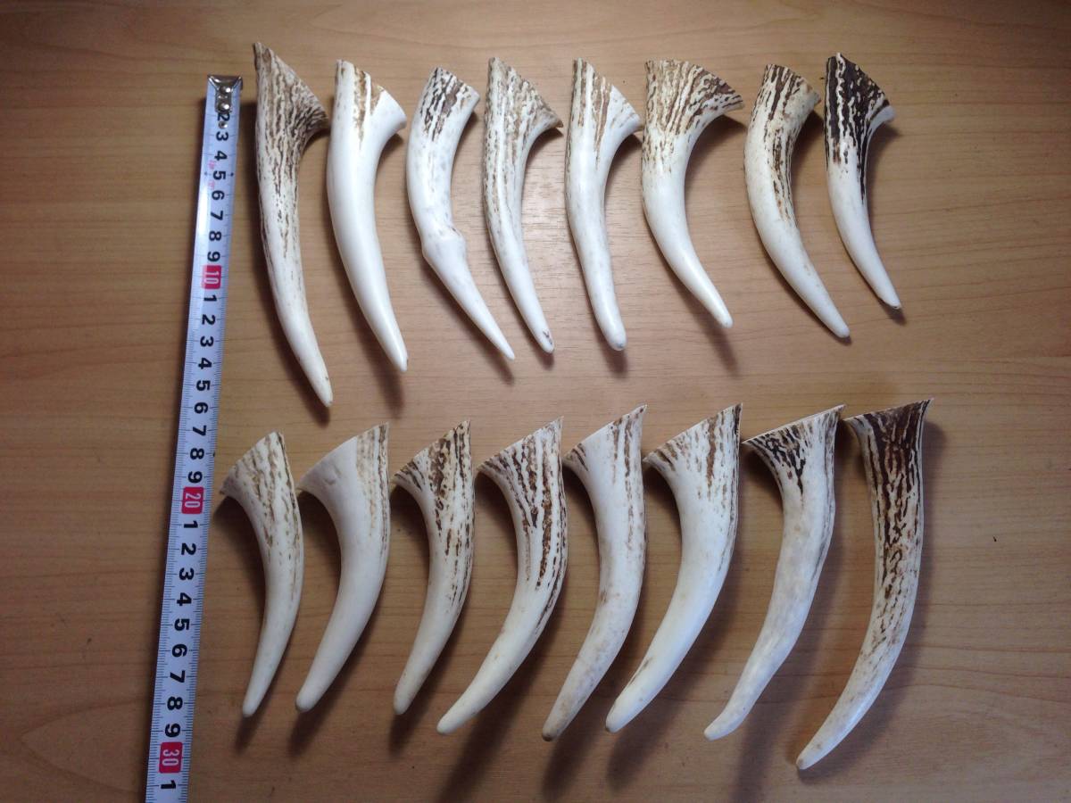 ６-44＊先端角１６点セット＊蝦夷鹿＊鹿角＊根付け＊鹿ノ角＊タモ＊ナイフ＊柄＊鹿の角＊鹿笛＊犬＊シカ＊エゾシカ