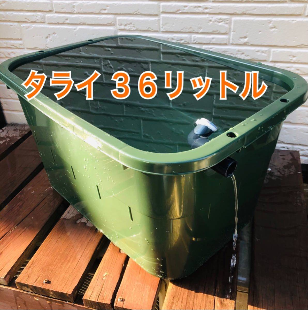 メダカ飼育ケース 36㍑x10個 メダカ飼育ケース 36リットル 色