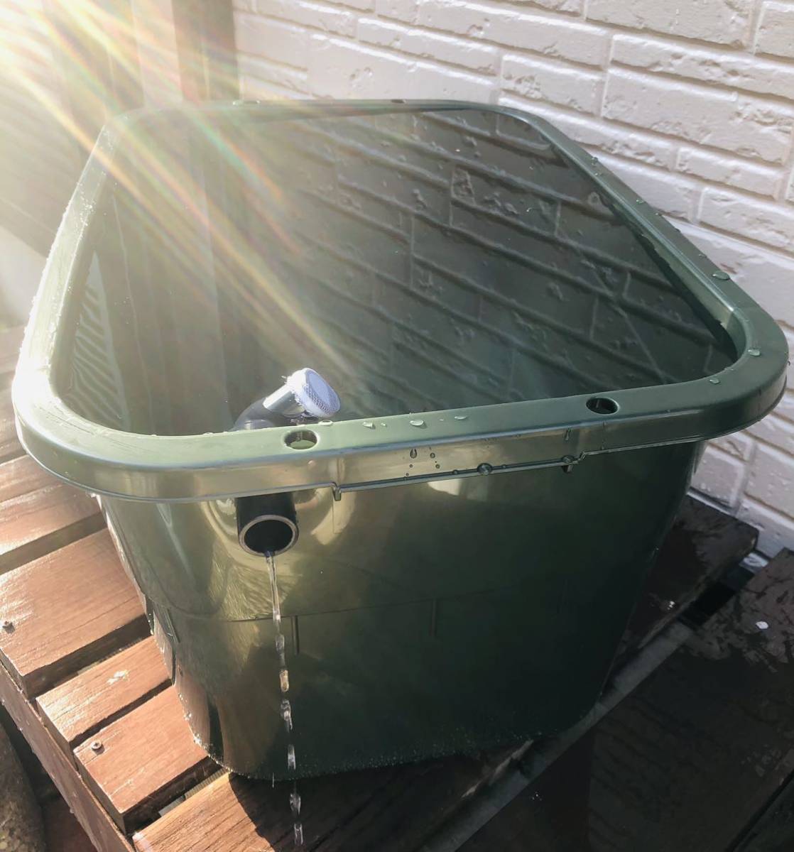 メダカ飼育ケース 36リットル メダカ飼育ケース 36㍑x5個（4色あり