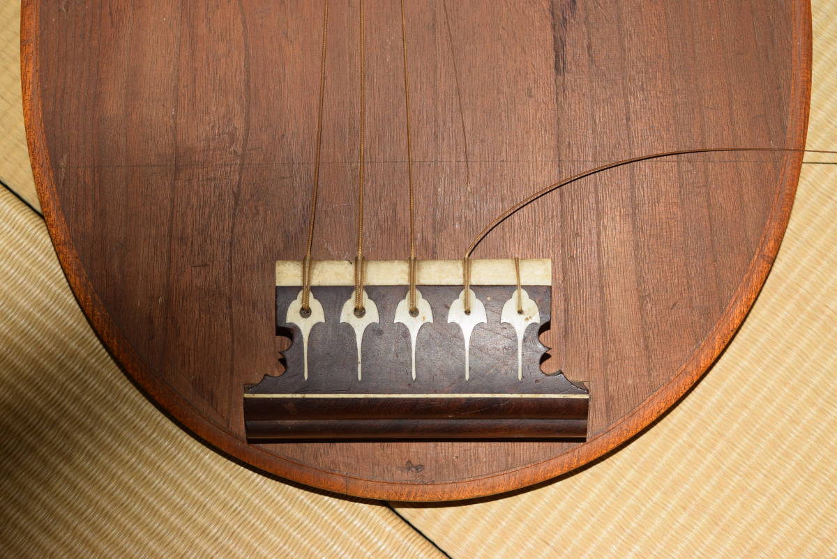 橘式五絃琵琶 琵琶 五弦五柱 弦楽器 和楽器 半月