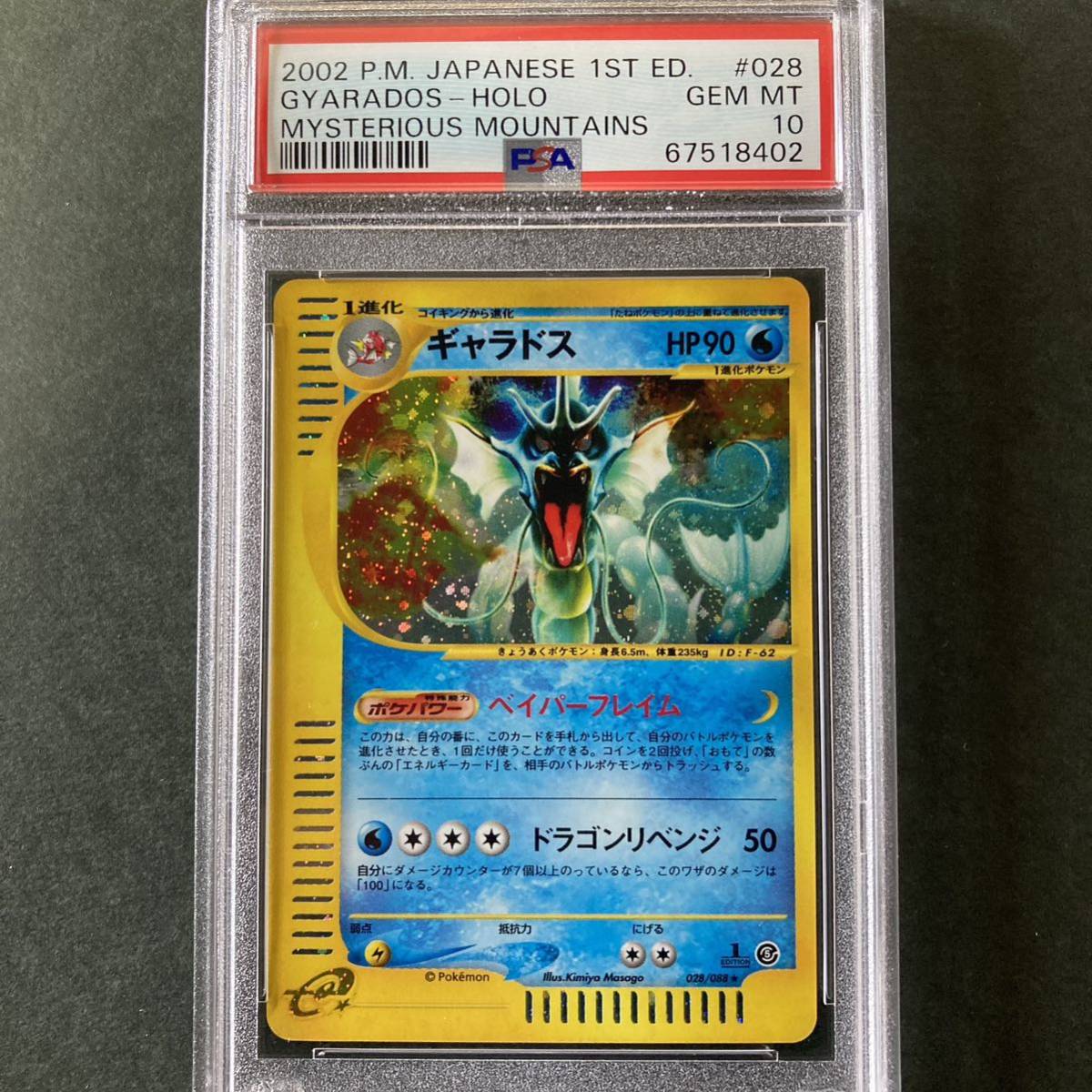 PSA10 ポケモンカードe ギャラドス 1ed 神秘なる山 2002 GYARADOS HOLO