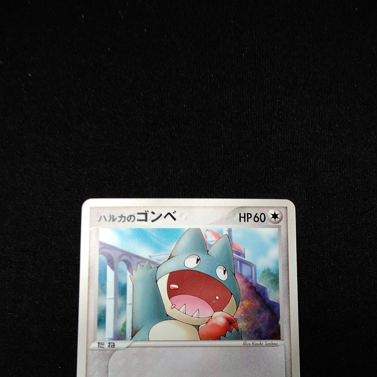 ポケモンカード ハルカのゴンベの入札履歴 - 入札者の順位