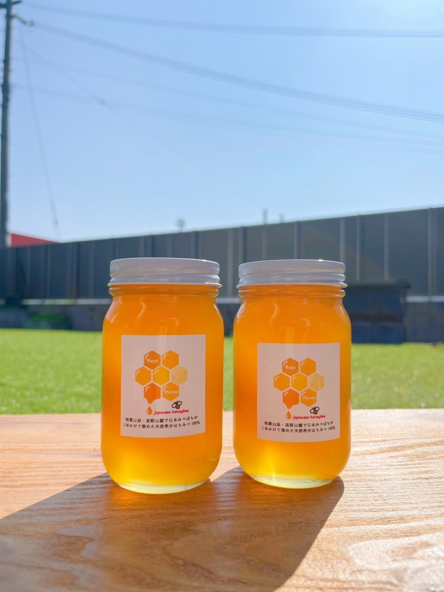 天然熟成1年　希少　日本ミツバチ 国産天然はちみつ100% 600g(300g2瓶)　生はちみつ 百花蜜 国産蜂蜜