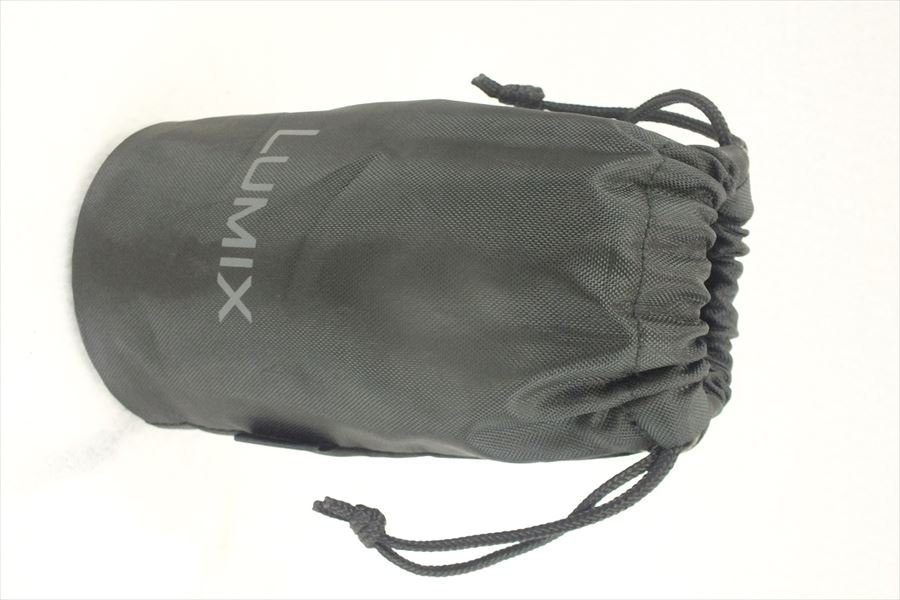 ☆ LUMIX G VARIO 4.0-5.6/100-300 レンズ ソフトケース付き 中古 現状