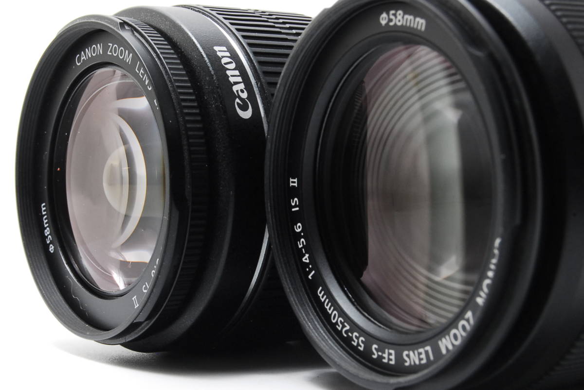ほぼ 2180ショット キャノン CANON EOS Kiss X5 ダブルズーム ほぼ 2180ショット キャノン CANON EOS Kiss X5 ダブルズーム