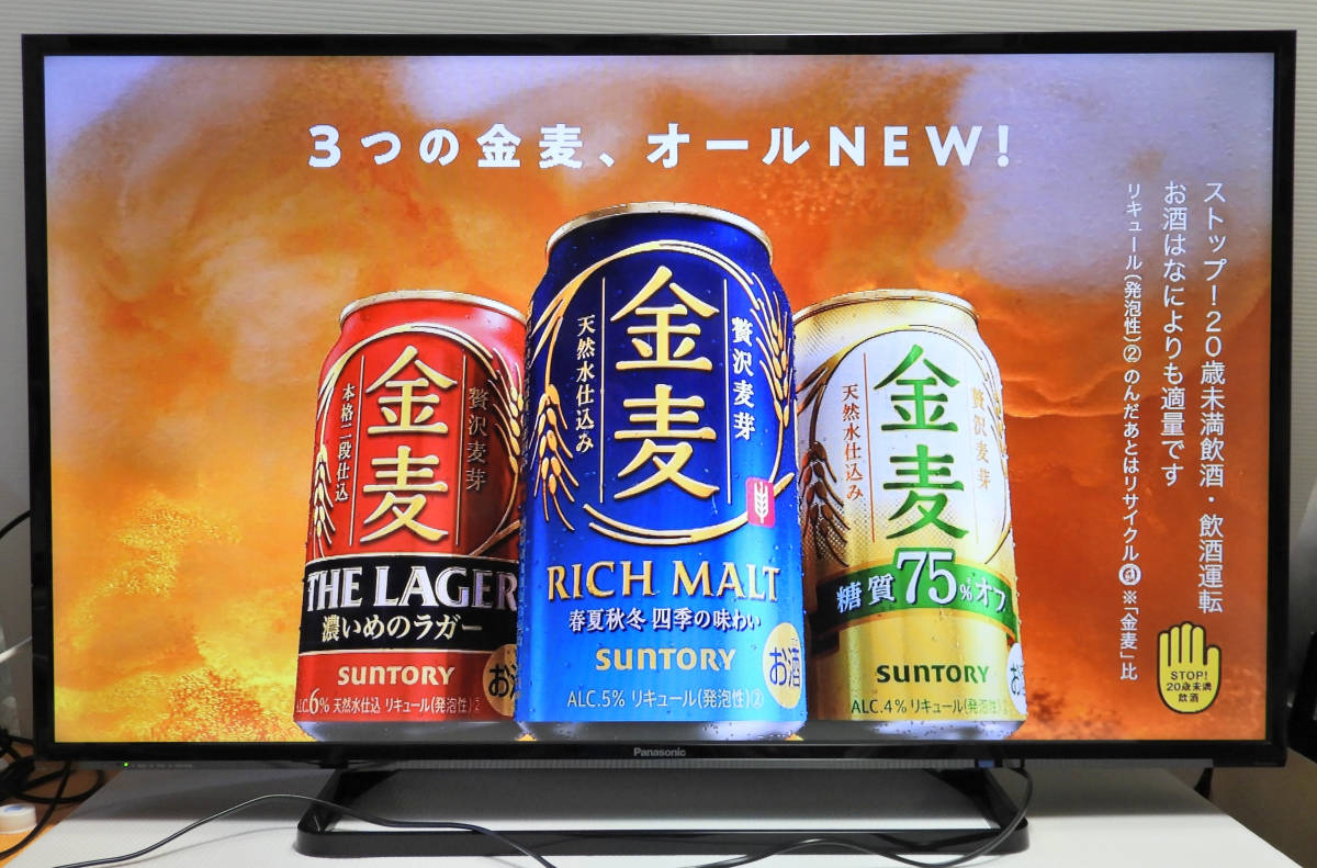 43インチ パナソニック/VIERA TH-43E300 2017年製 外付けHDD録画 裏 