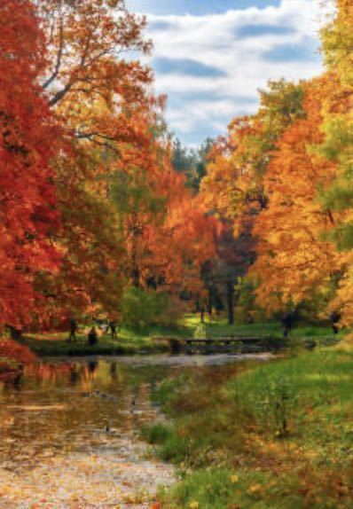 【即決1円】相互評価　お取引の流れ必読！　フリー画像データ10-1_1