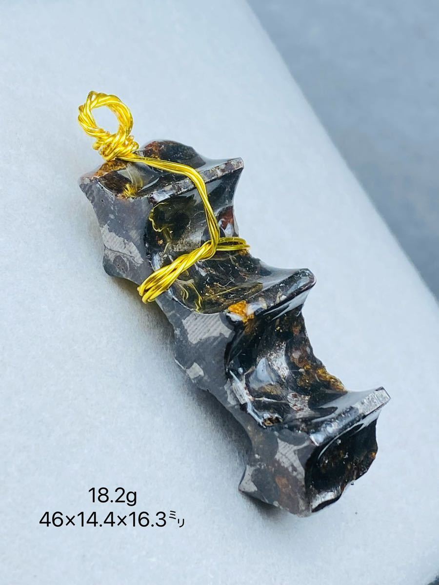 希少 宇宙パワー 18.2g パラサイト隕石 セリコ隕石 石鉄隕石 高品質