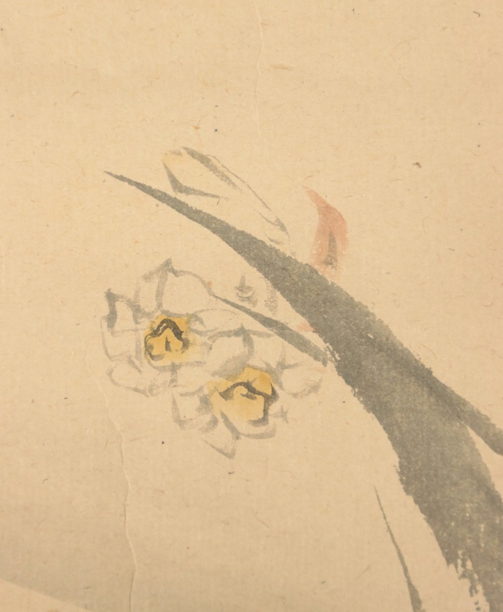 真作 最後の四条派 木島桜谷 花鳥 紙本軸装 大日本書畫名家大鑑落款