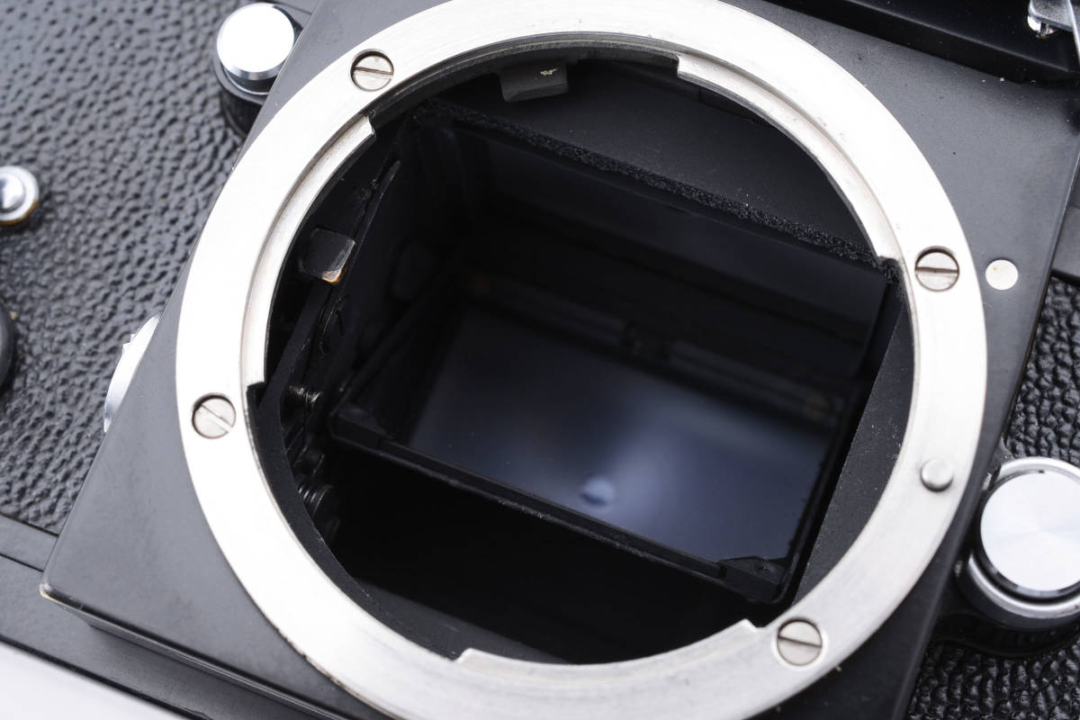 ☆ HASSELBLAD A12 フイルムマガジン （シルバー） 【公式通販】