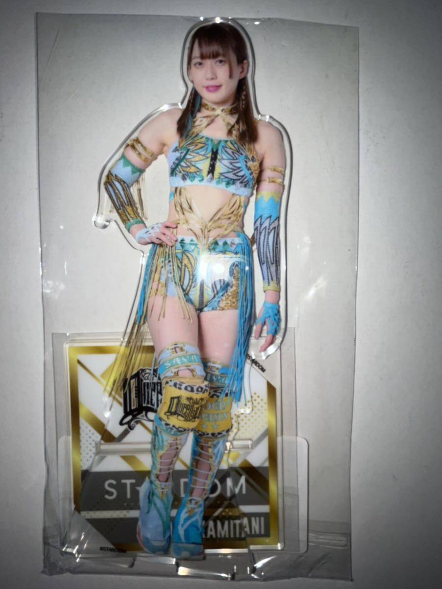 スターダム WORLD WONDER RING STARDOMくじ あたり賞 BIGアクリル