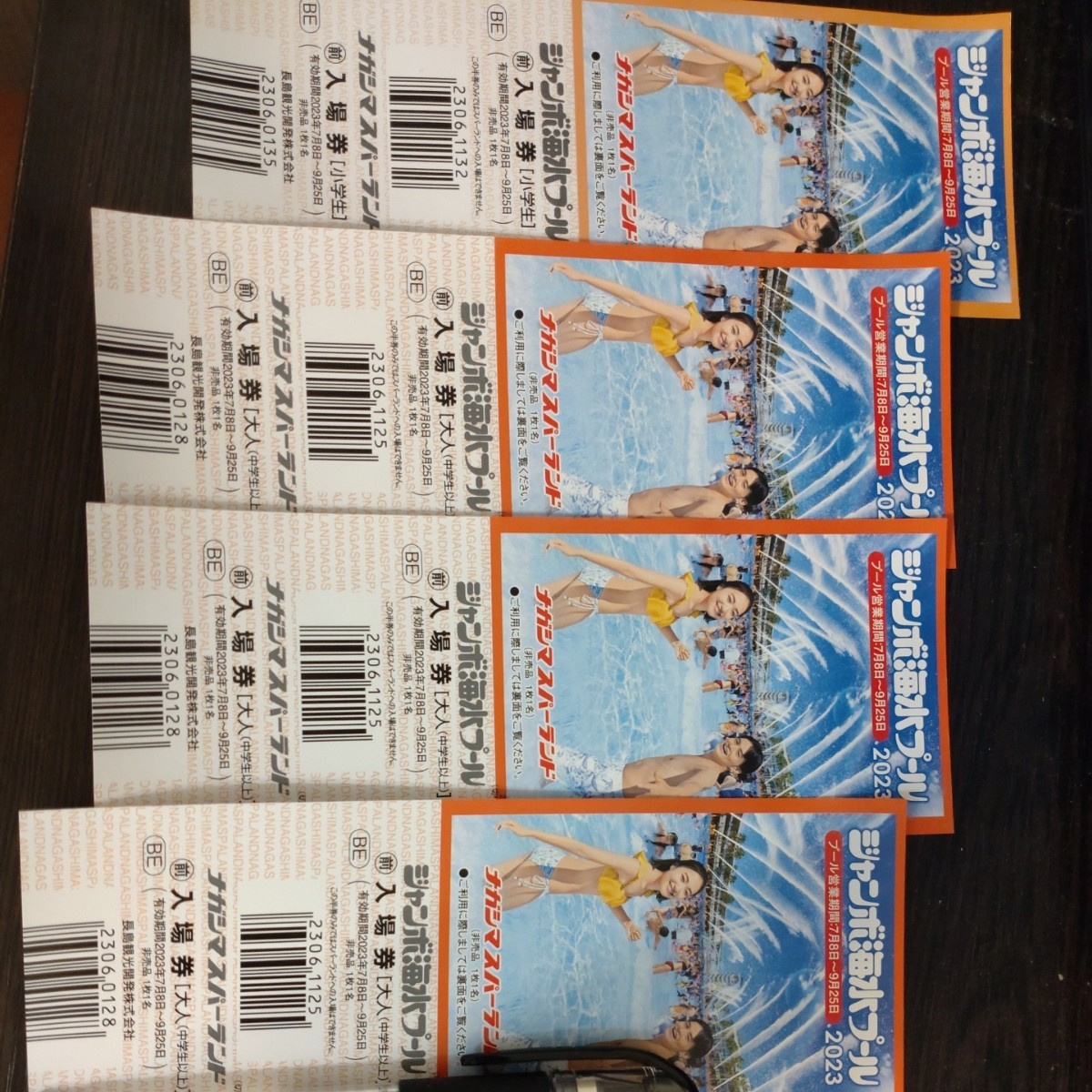 ナガシマスパーランド　ジャンボ海水プール　2023 9/25 大人三枚　子供1枚