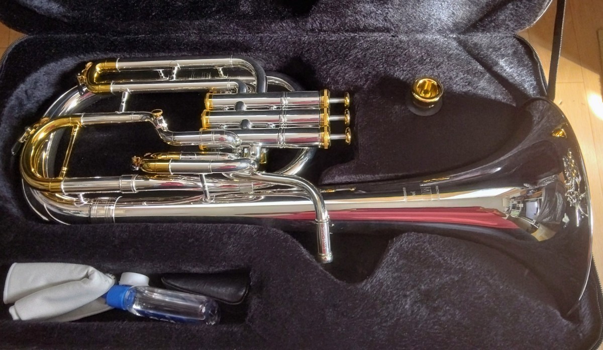 Amuse テナーホーン AMT-302G SG マウスピース付の入札履歴 - 入札者の順位