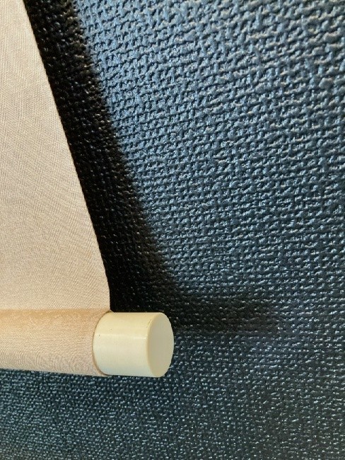 小林柯白 梅花小禽図 【模写】前田蒼風「朝顔図」絹本箱付 日本自由