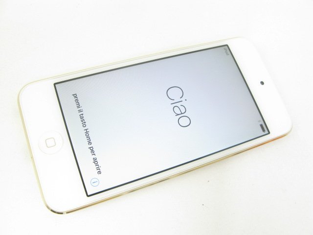iPod Apple 6th Gold Generation touch Touch - 16GB (16GB) Pre-Owned