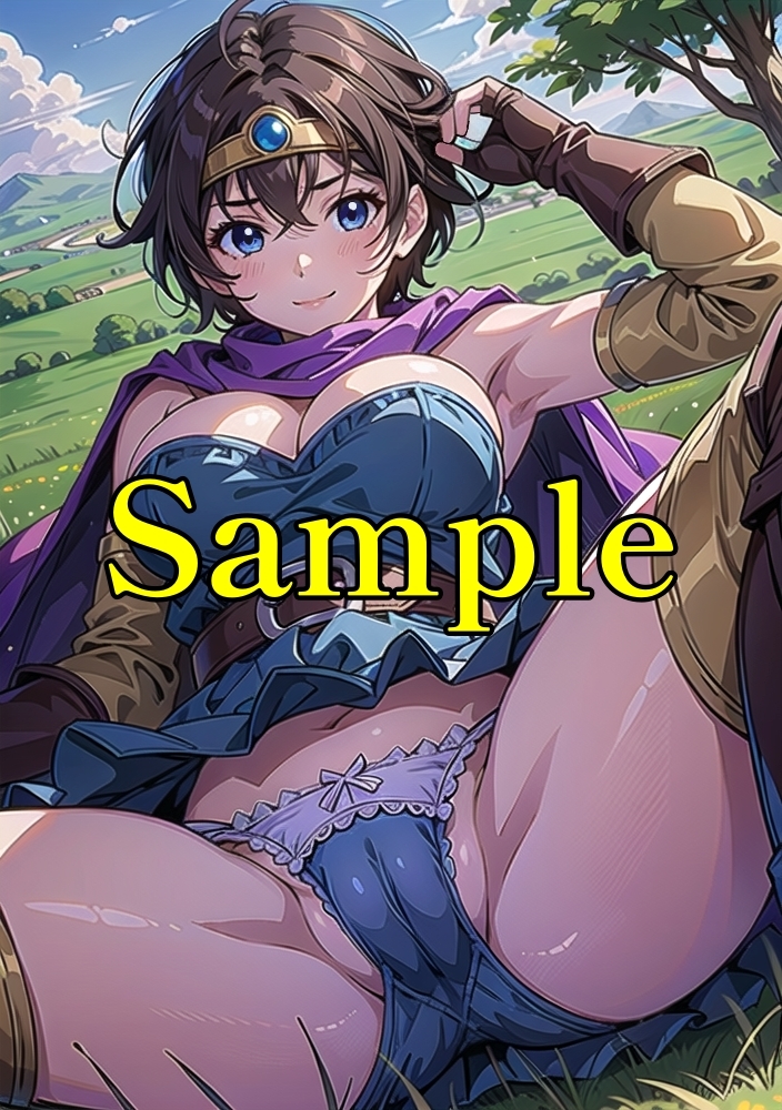 ドラゴンクエスト 勇者3 同人ポスター A4サイズ高品質イラストアート アニメ anime マンガ 美少女