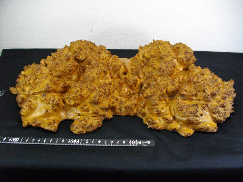 □送料無料！□瘤の置物・H8×W49×D30cm□壁掛け□木製□無垢 