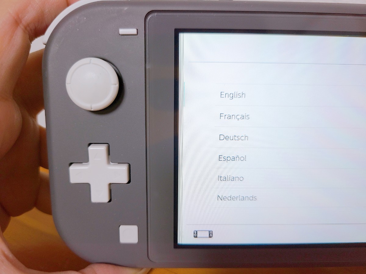 スイッチ ライト本体 単品 Nintendo Switch Lite 本体 グレー 任天堂
