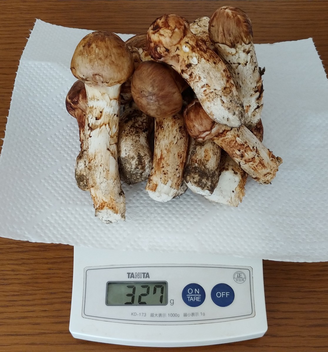 松茸 北海道産(マツタケ)｜売買されたオークション情報、yahooの商品情報をアーカイブ公開 - オークファン（aucfan.com）
