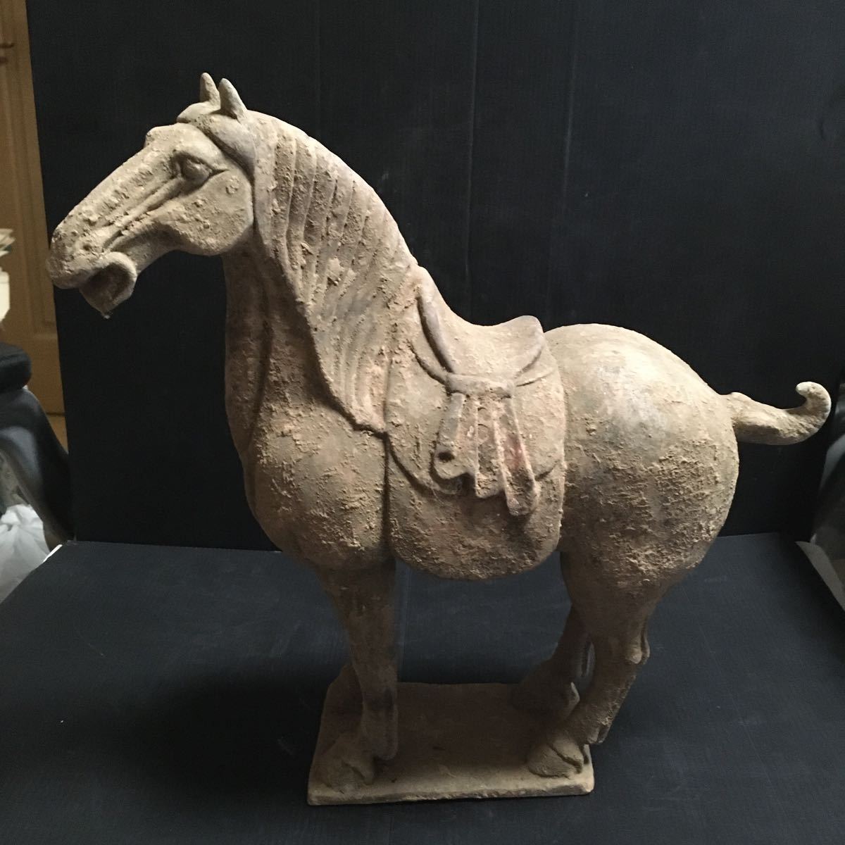 唐時代 加彩 土器 馬 馬俑 中国 中国骨董品 発掘品 遺跡 副葬品 王族 