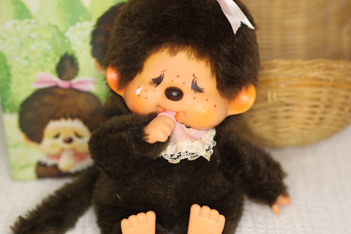 セキグチ ふた子のモンチッチ かご付 くたくたシリーズ 箱あり 女の子 