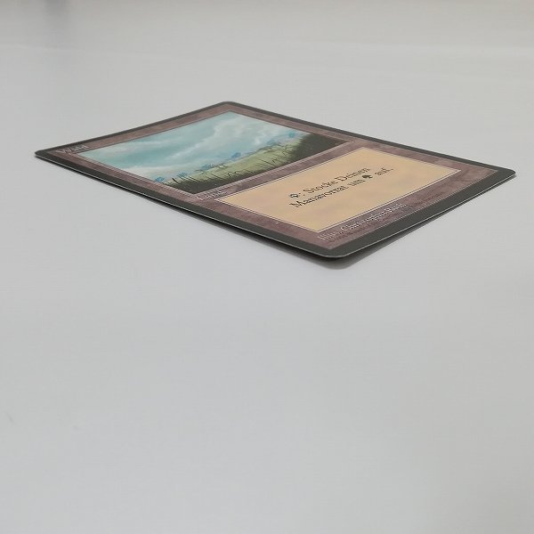 sD980o [人気] MTG 基本 土地 3ED 森 エラーカード ドイツ語版(土地
