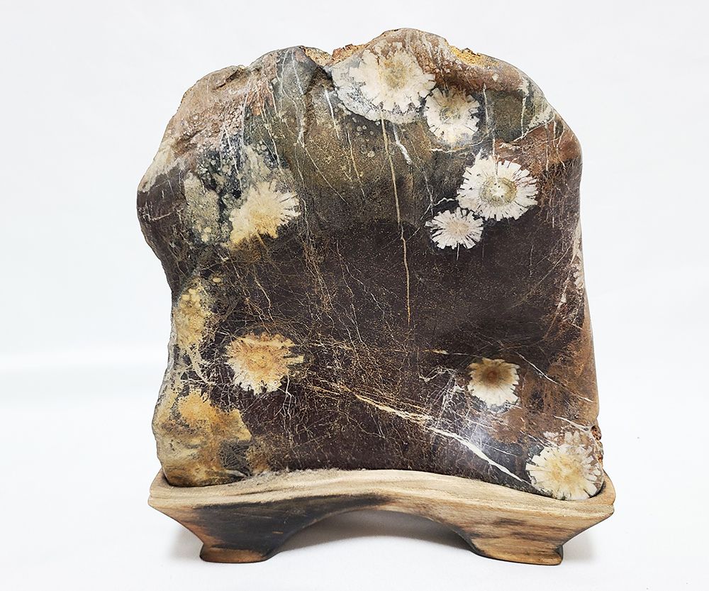 鑑賞石、菊花石、 根尾谷産 菊花石 21.2キロ 鑑賞石 石 置物 オブジェ インテリア 盆石