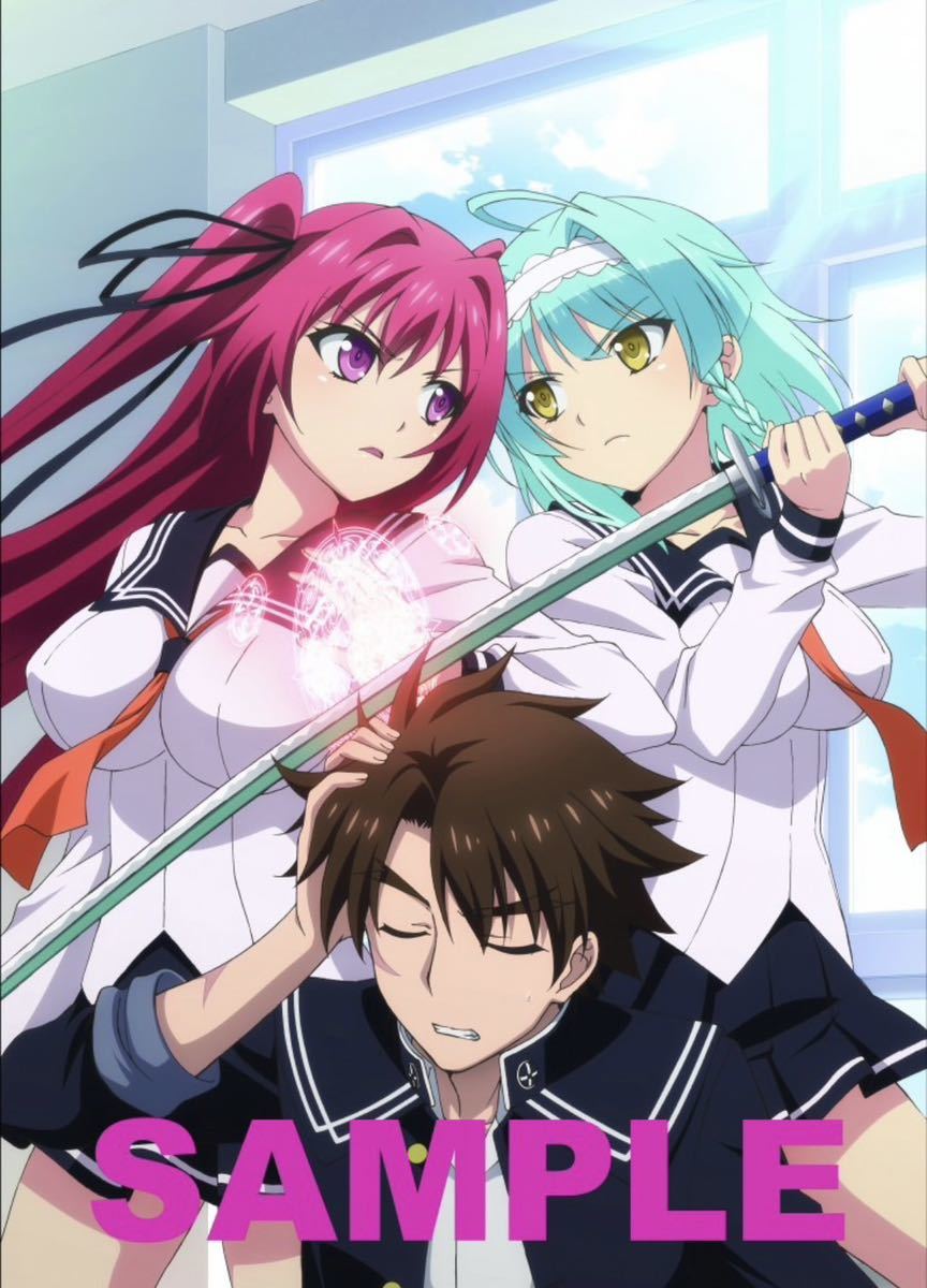 新妹魔王の契約者 一期 アニメイトBlu-ray全巻購入特典 タペストリー 新妹魔王の契約者 1期 アニメイト 全巻購入特典 描き下ろし A3