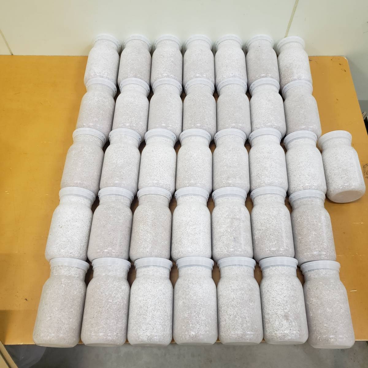 最終ロット　オオヒラ1100 1次　クヌギ100％　中古ボトル　36本入り