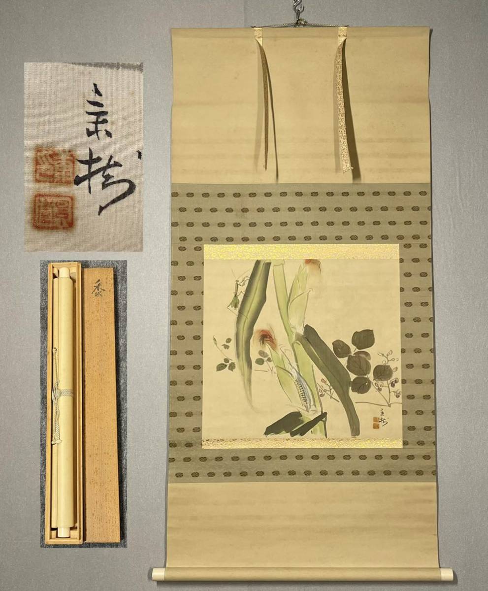 Y-33掛軸模写 絹本肉筆 共箱【今井景樹】カマキリ トンモロコシ図 三重