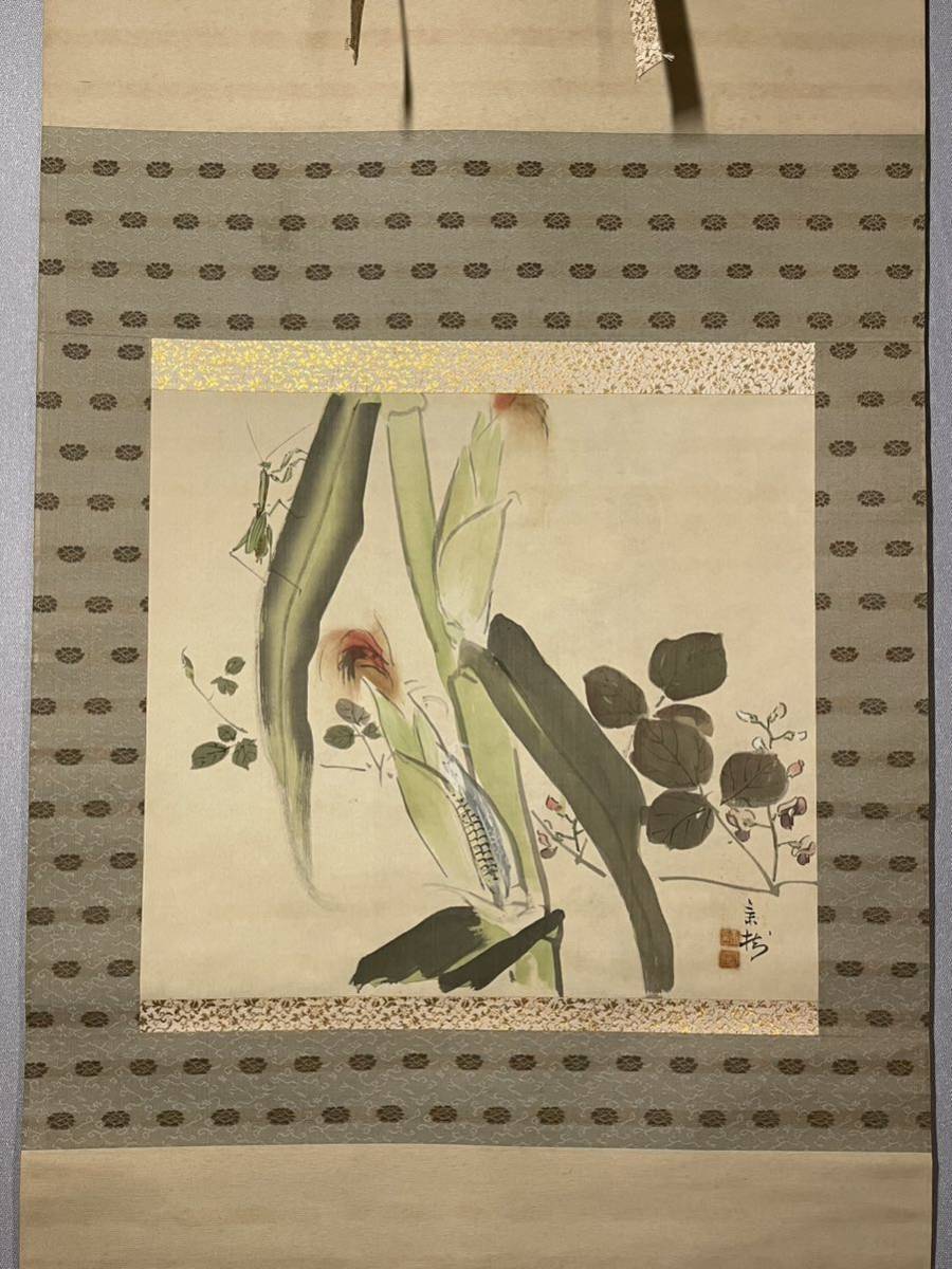 Y-33掛軸模写 絹本肉筆 共箱【今井景樹】カマキリ トンモロコシ図 三重