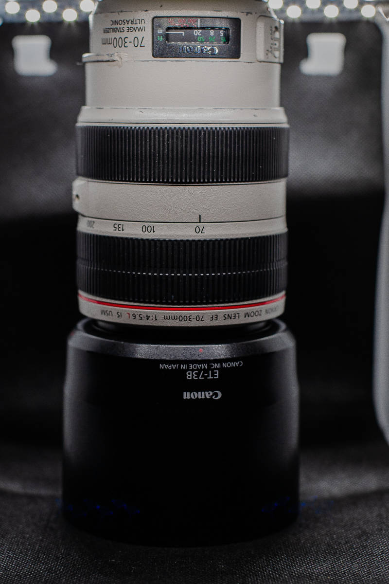 CANON 70-300L IS USM F/5.6 WITH LENS HOOD， LENS PROTECTOR， AND