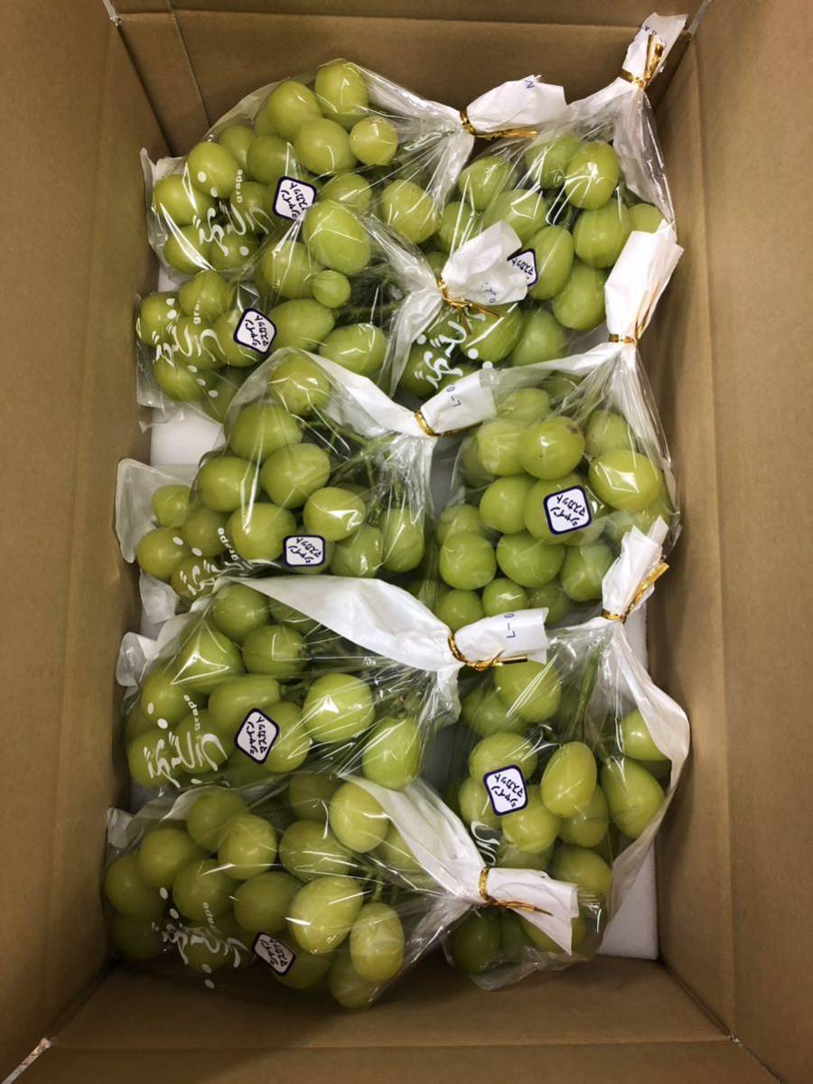 長野県農家直送　家庭用　シャインマスカット　大~小粒　約4キロ　箱詰品　1