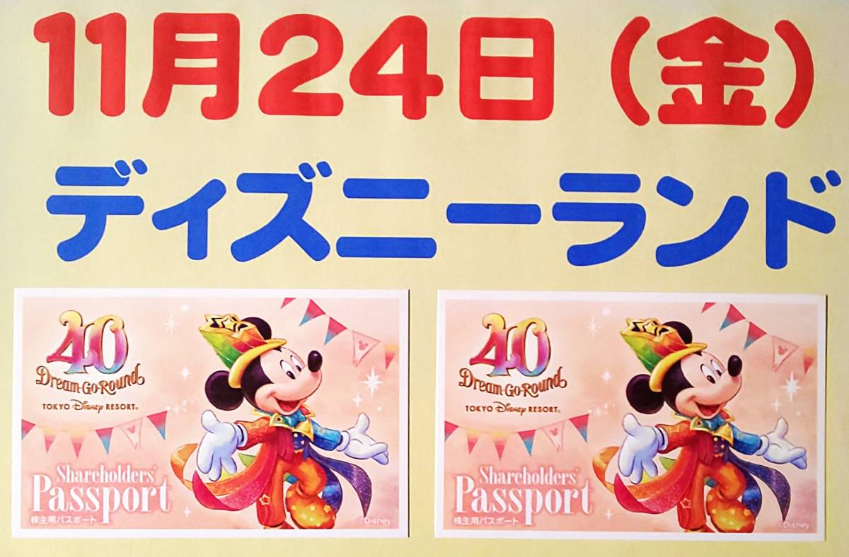 ★11月24日(金) 東京ディズニーランド・１dayパスポート・ペアチケット