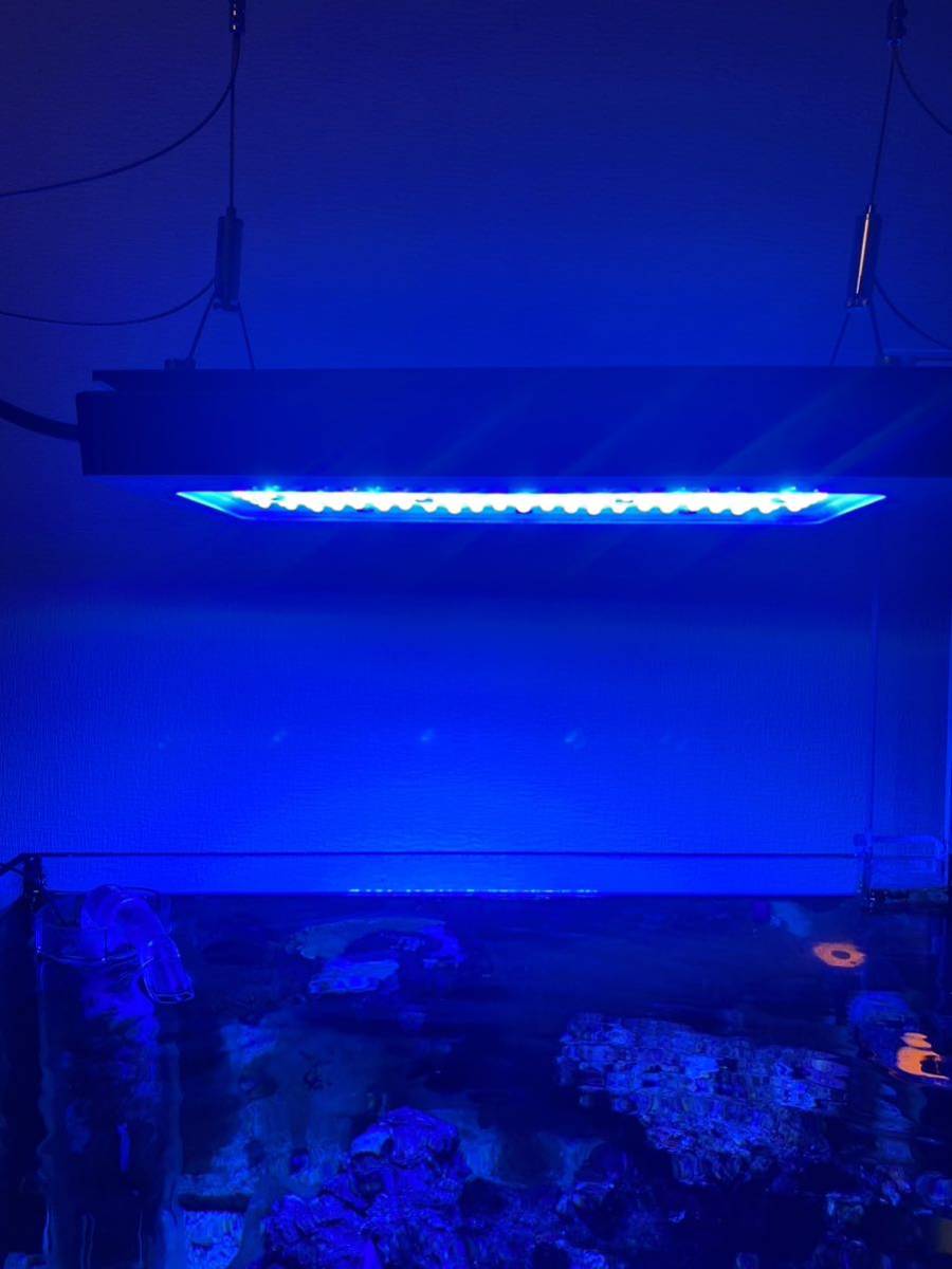 Radion G5 XR30 Blue Ecotech ラディオン blue Marine 公式通販 xr30w